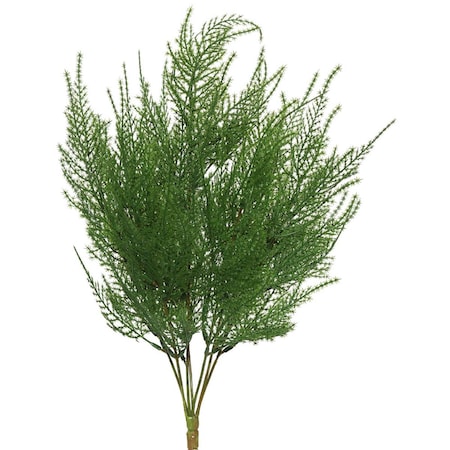 Dare2Decor 19.5 in. Green Asparagus Bush DA1235967